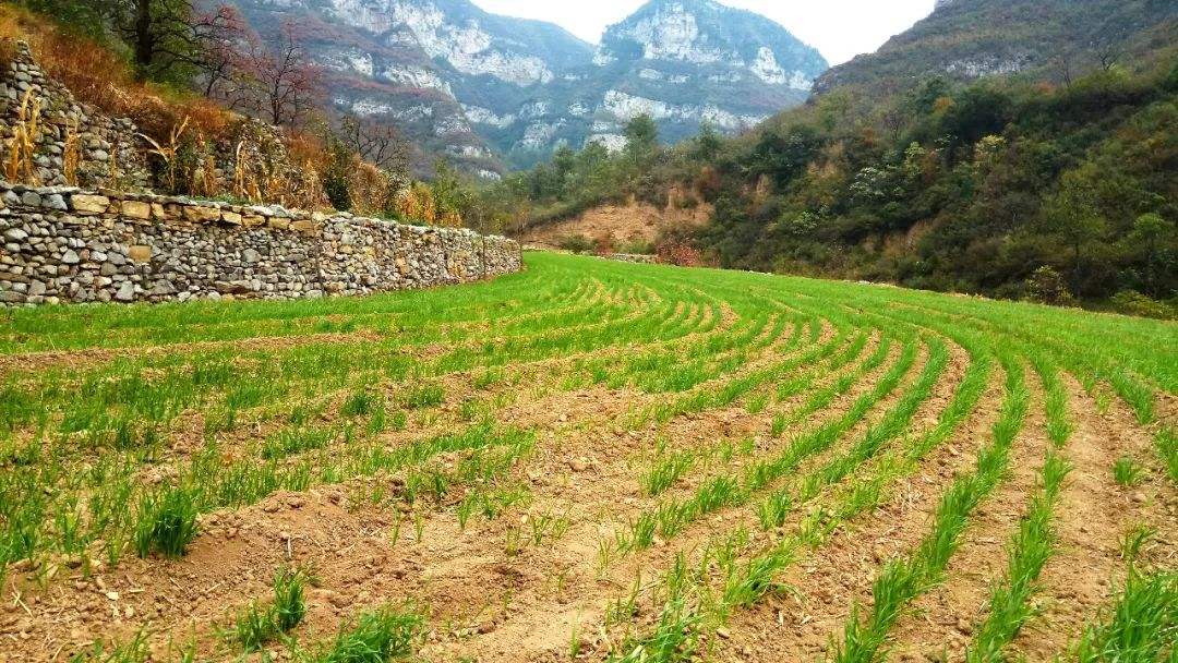 土壤水分測定儀